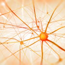 Neural Networks